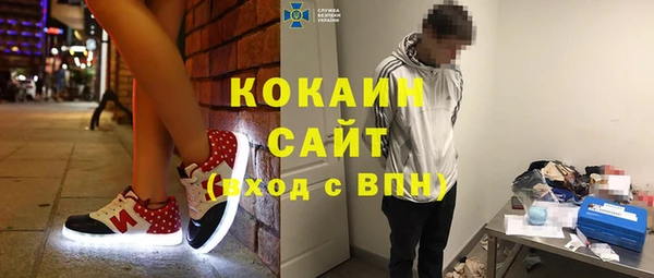 СК Алексин