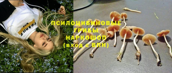 прущие крисы Абинск