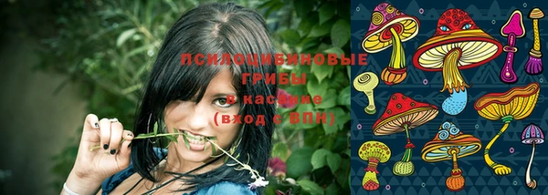 кристаллы Алзамай