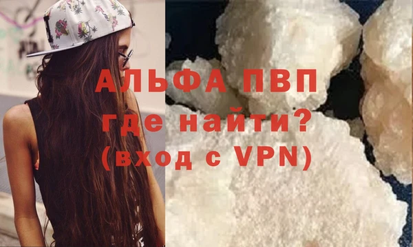 СК Алексин