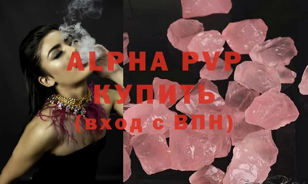 СК Алексин